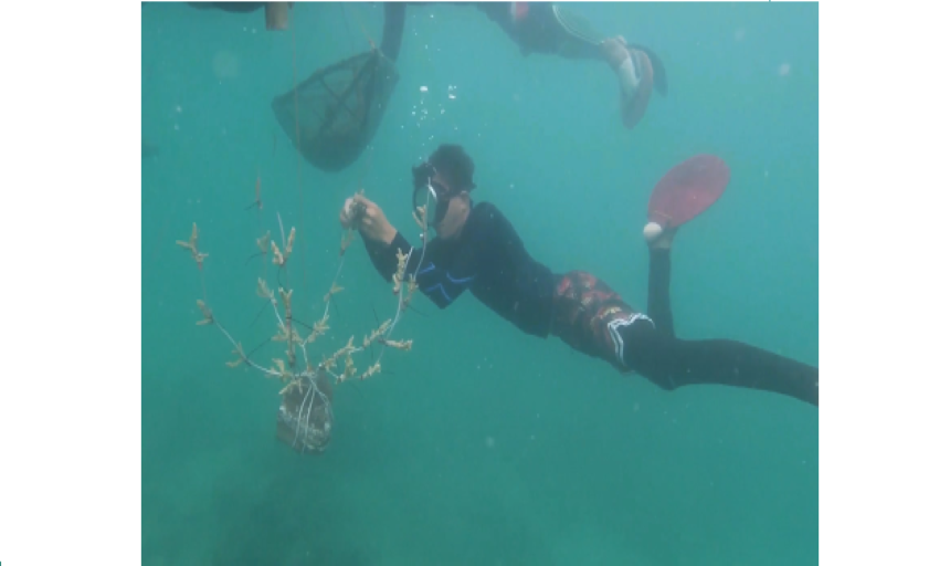 A community volunteer planting